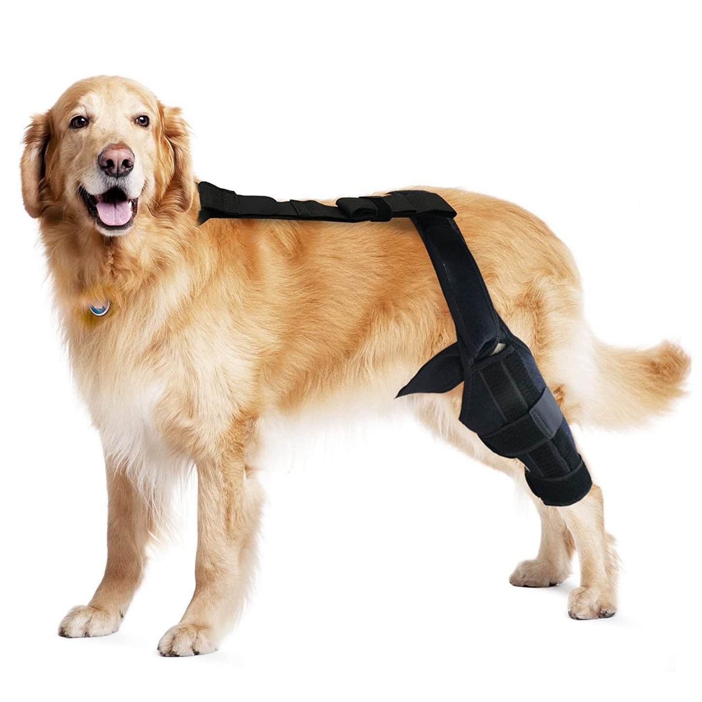 Dog Rehabilitation Support Belt for Injury Recovery