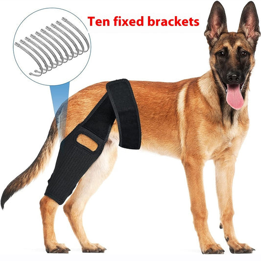 Dog Rehabilitation Support Belt for Injury Recovery
