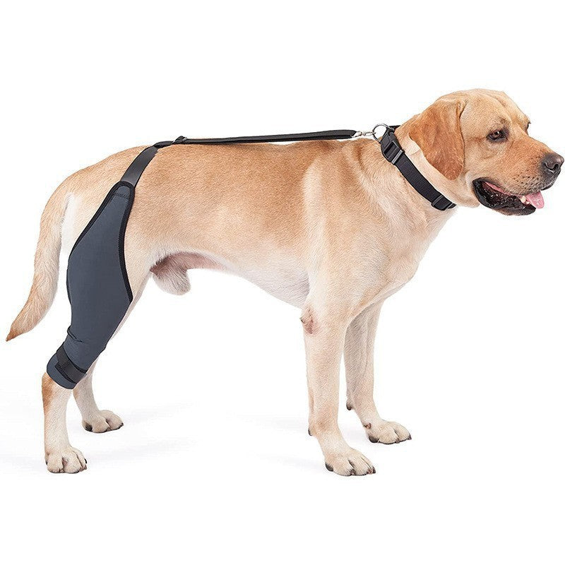Dog Rehabilitation Support Belt for Injury Recovery