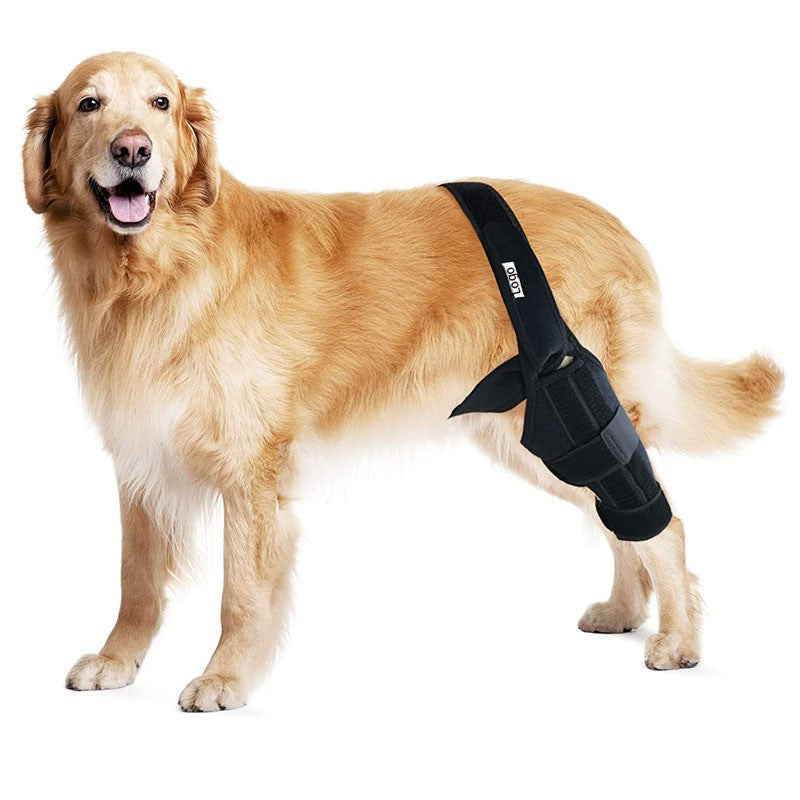 Dog Rehabilitation Support Belt for Injury Recovery