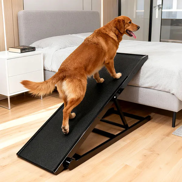 Folding Dog Ramp with Anti-Slip Surface – For Couch, Bed & Car